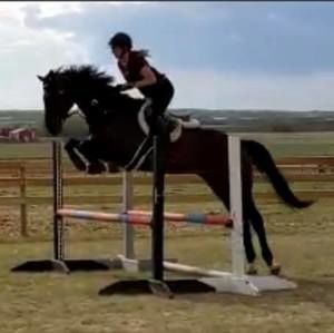 Meet your Posher, Marcy